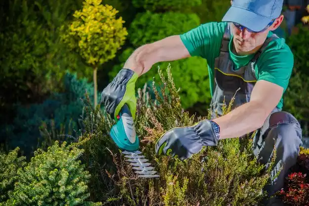 landscaping services Atlanta